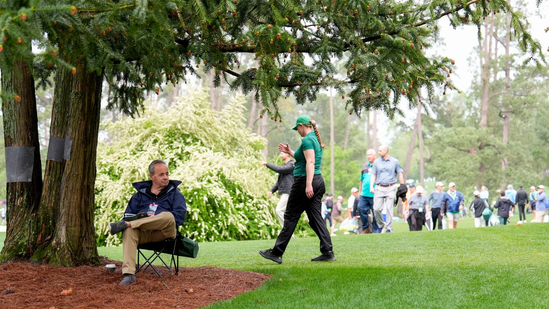 Ranking the Top Cut-Down Trees From Iconic Courses