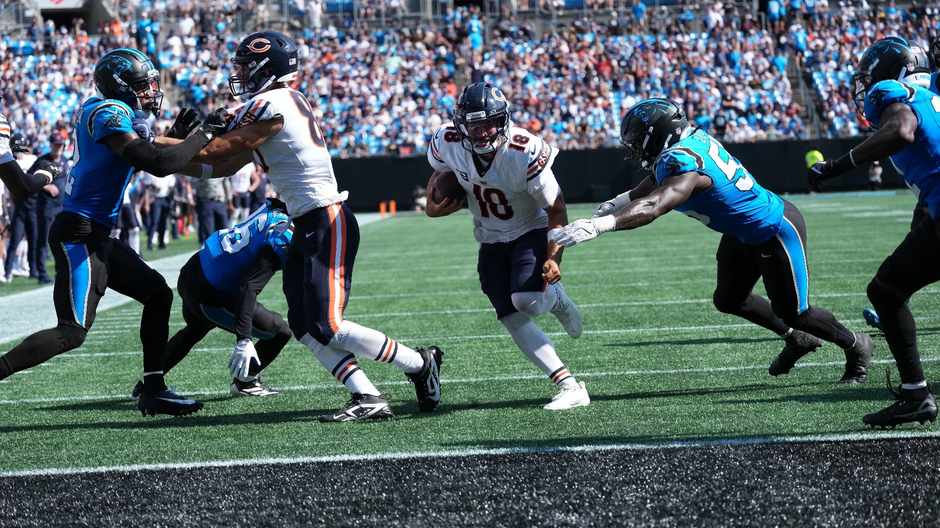 Bears Dominate Panthers 59-37: Week 1 Recap & Reaction