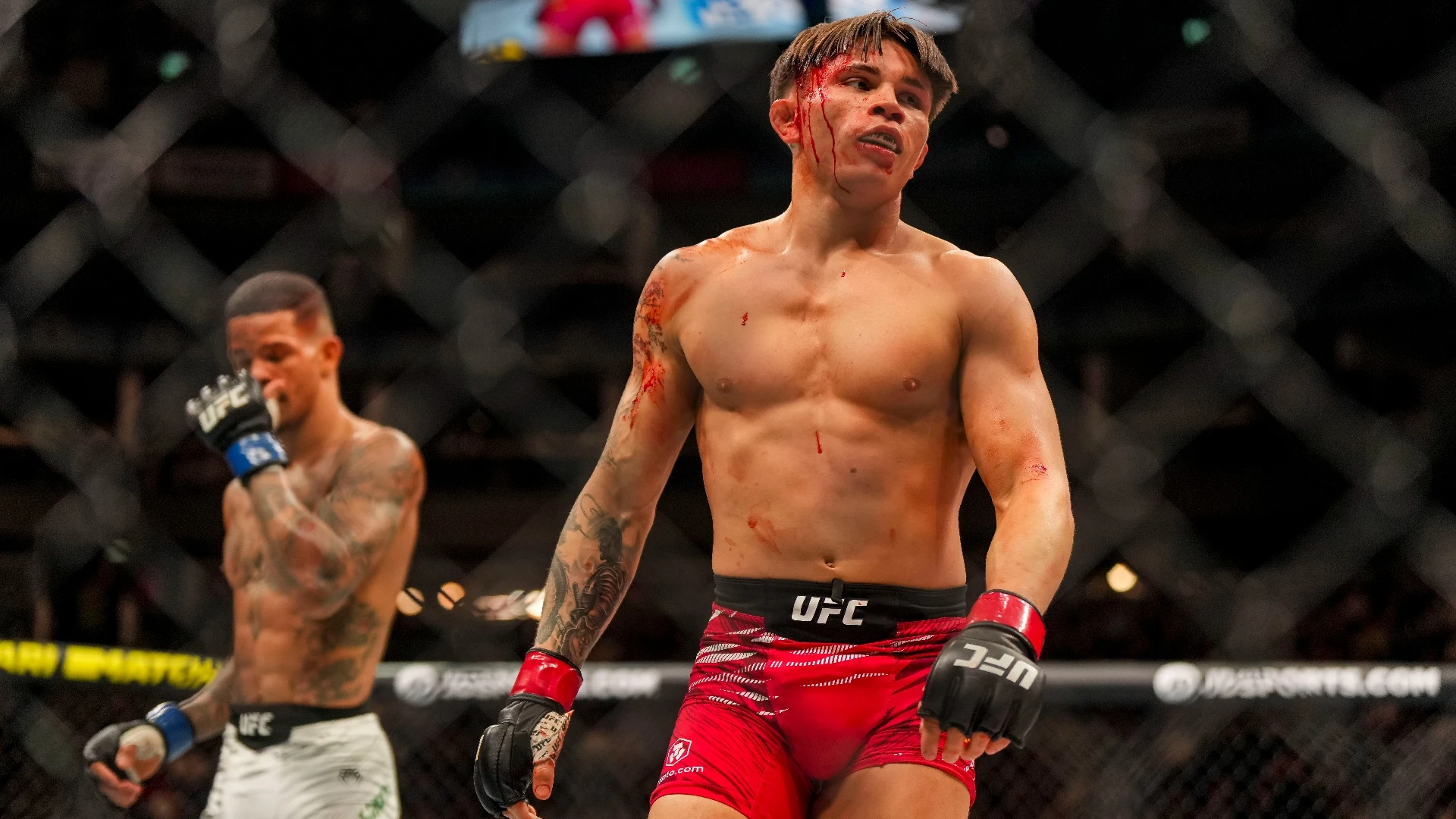 Kavanagh vs. Temirov Fight Preview: Odds, Picks and KO Prediction