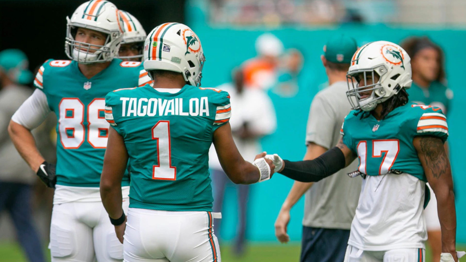 NFL To Have 10+ Wins Market: The Dolphins Have Value (+130)