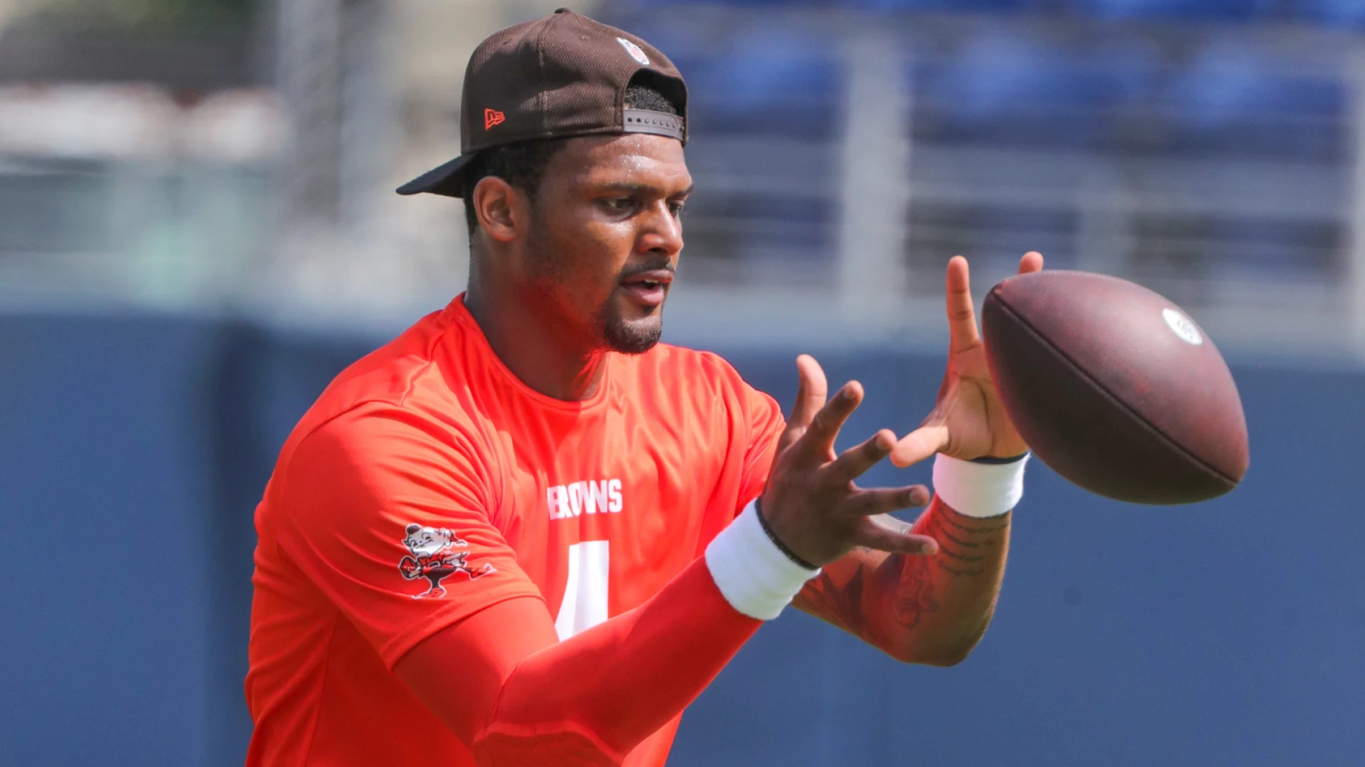 Don't Touch The Browns (+250) To Win The AFC North