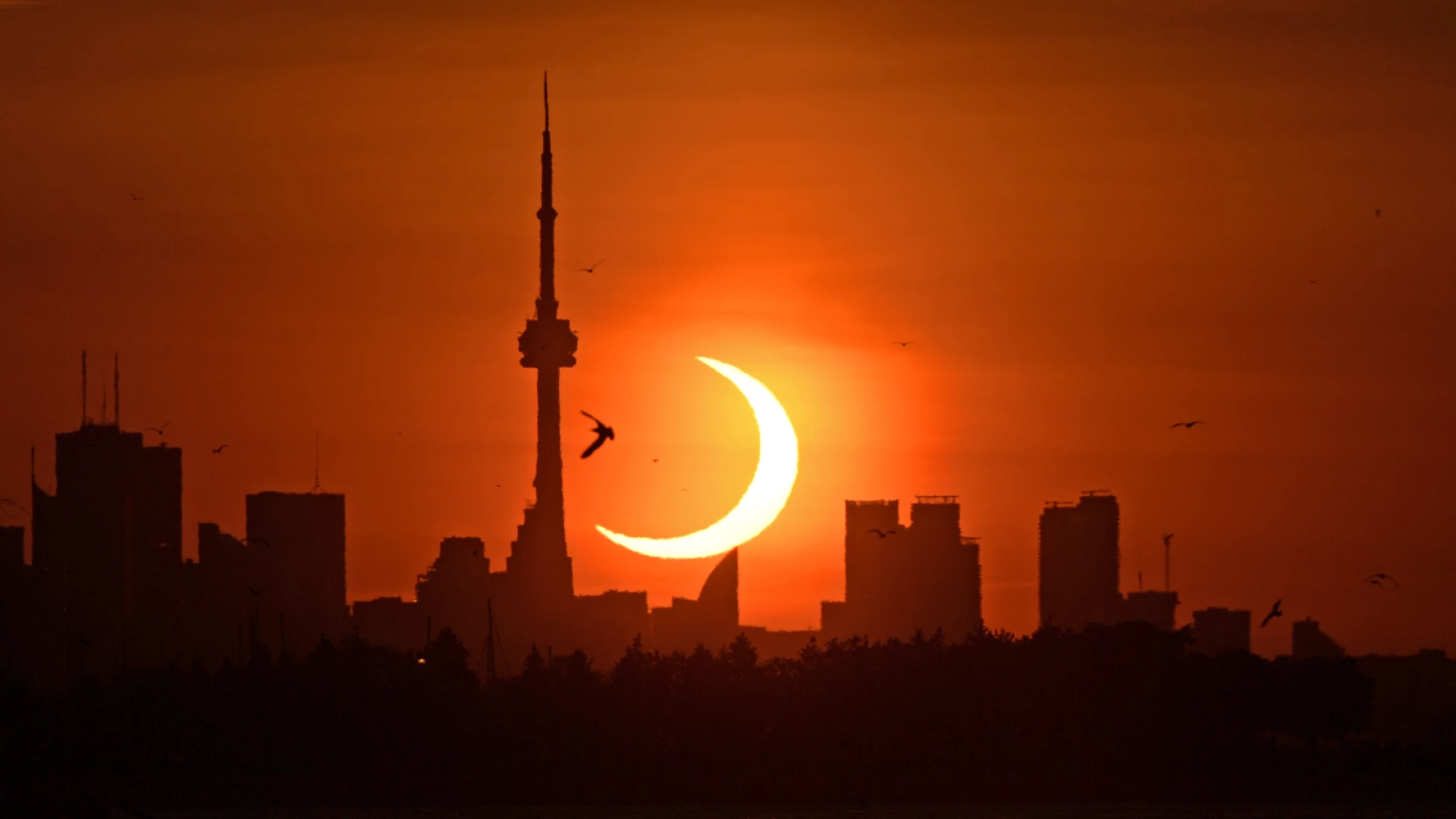 PokerStars Launches Online Products In Ontario