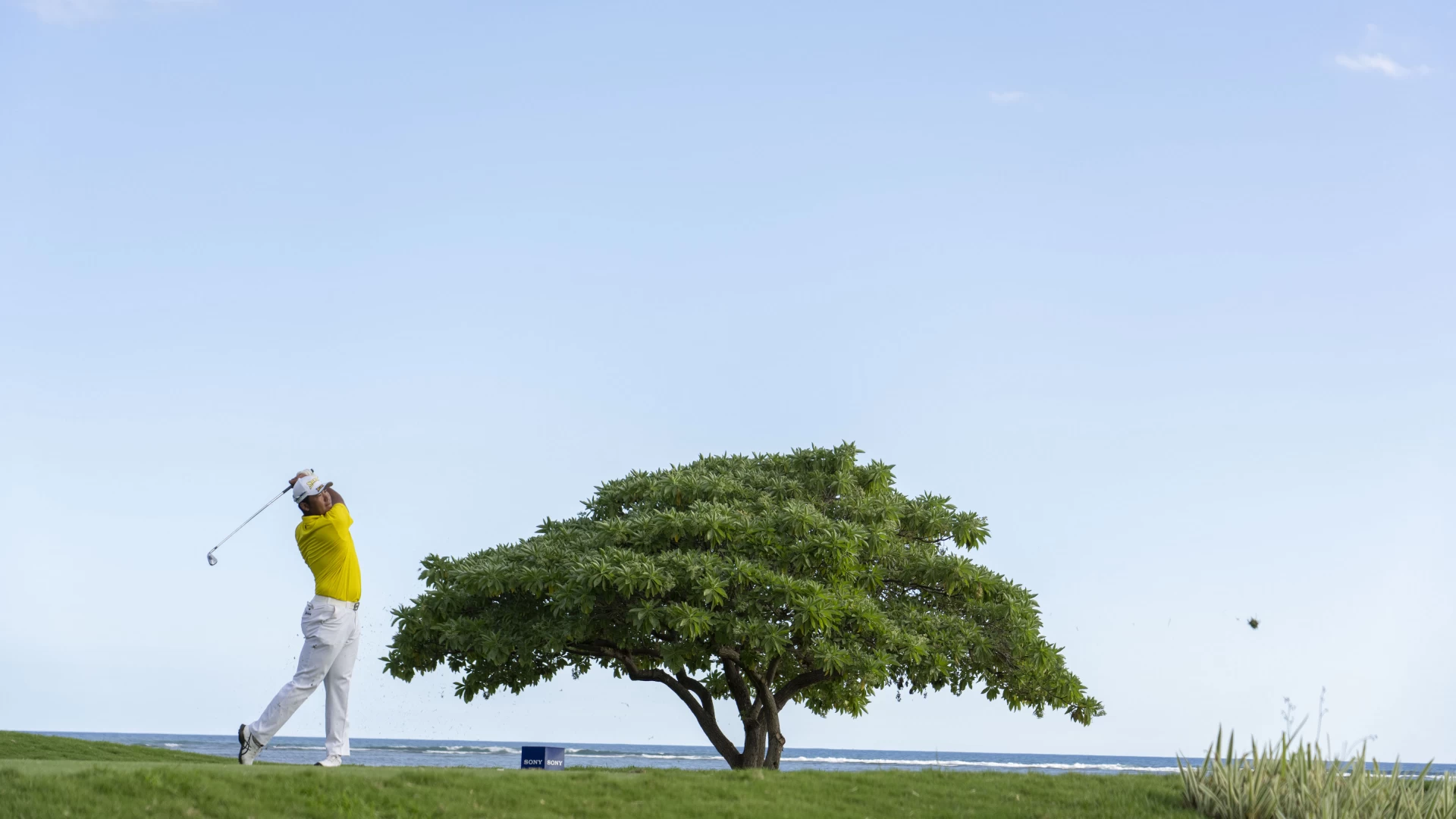Sony Open Course Preview: Waialae Country Club