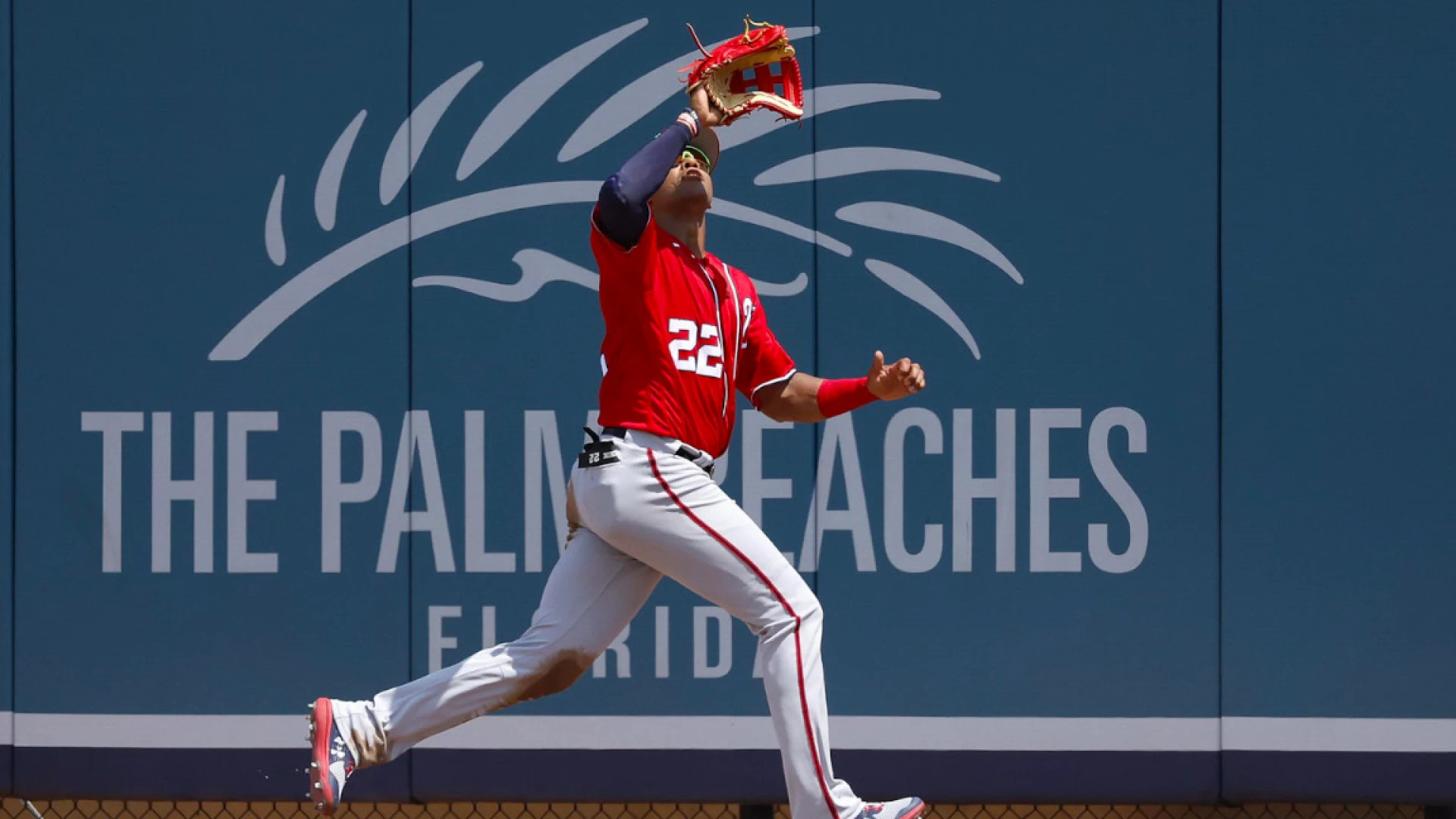 Dominican Republic (+200), Japan (+270), USA (+280) Lead WBC Odds