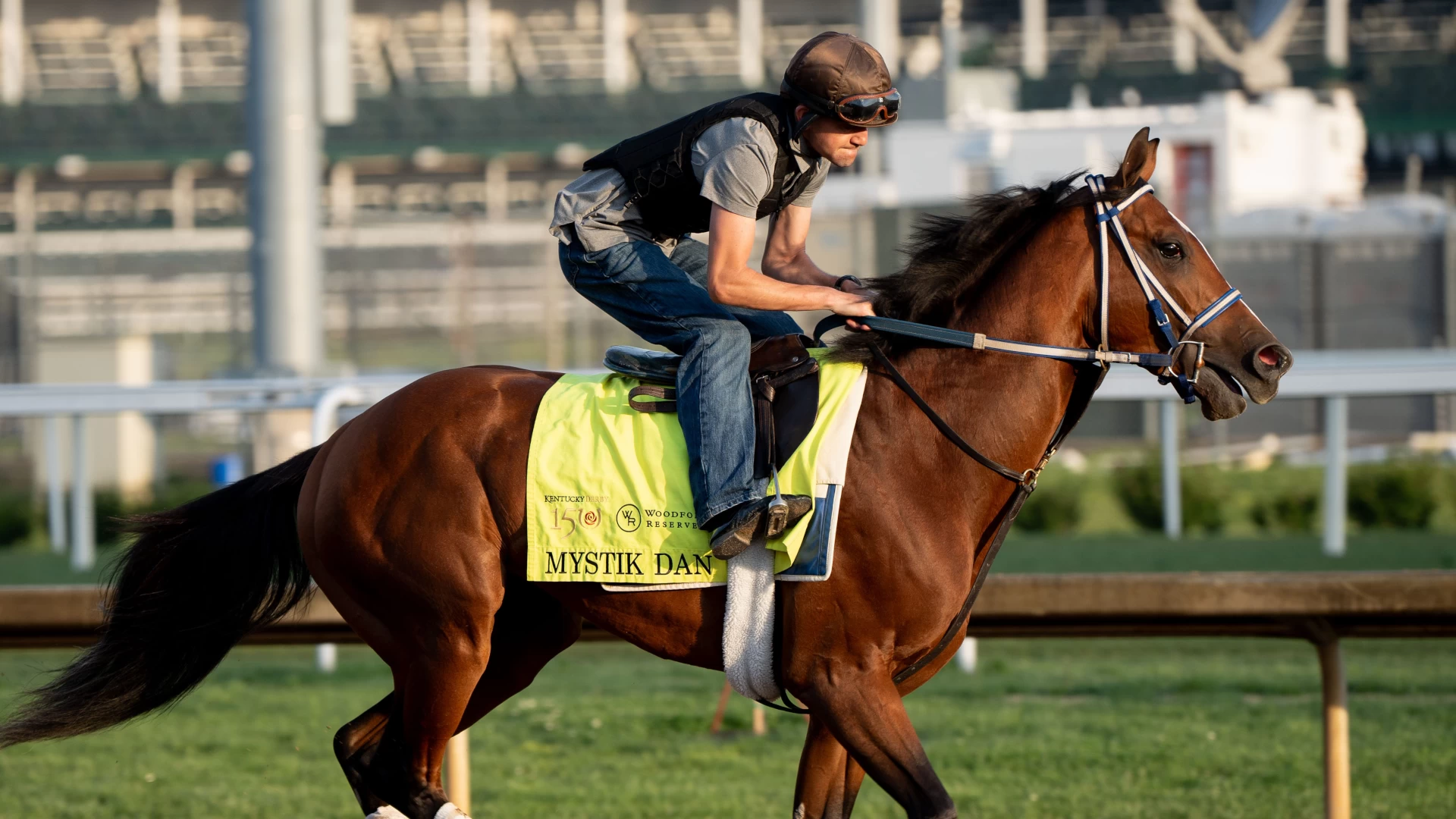 The Dark Side of Horse Racing and Commercial Impact