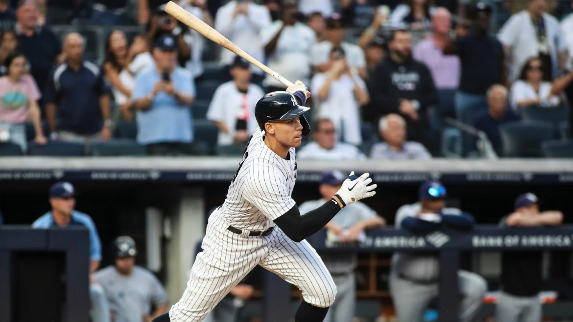 Kevin Walsh Discusses MLB Post-Memorial Day Updates