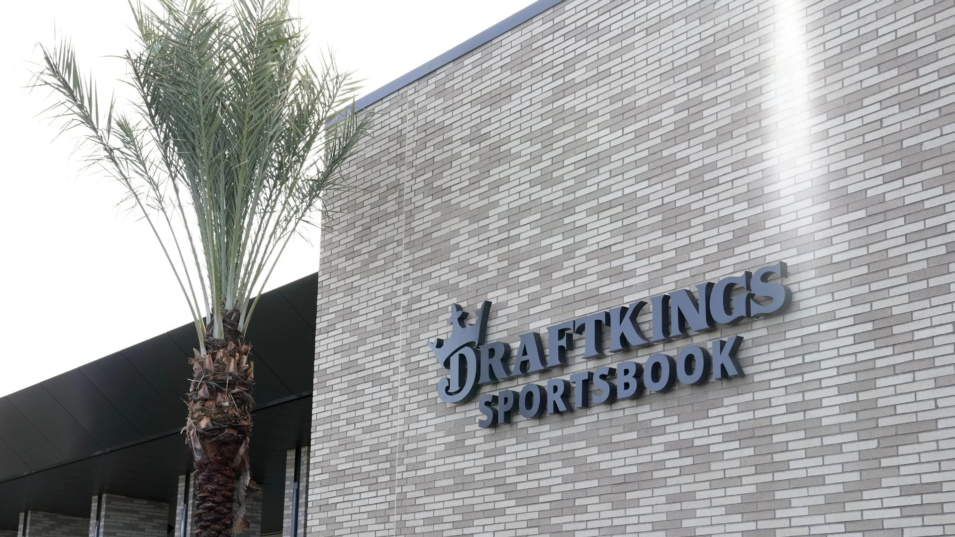DraftKings Stock Takes Roller Coaster After Surcharge Plan