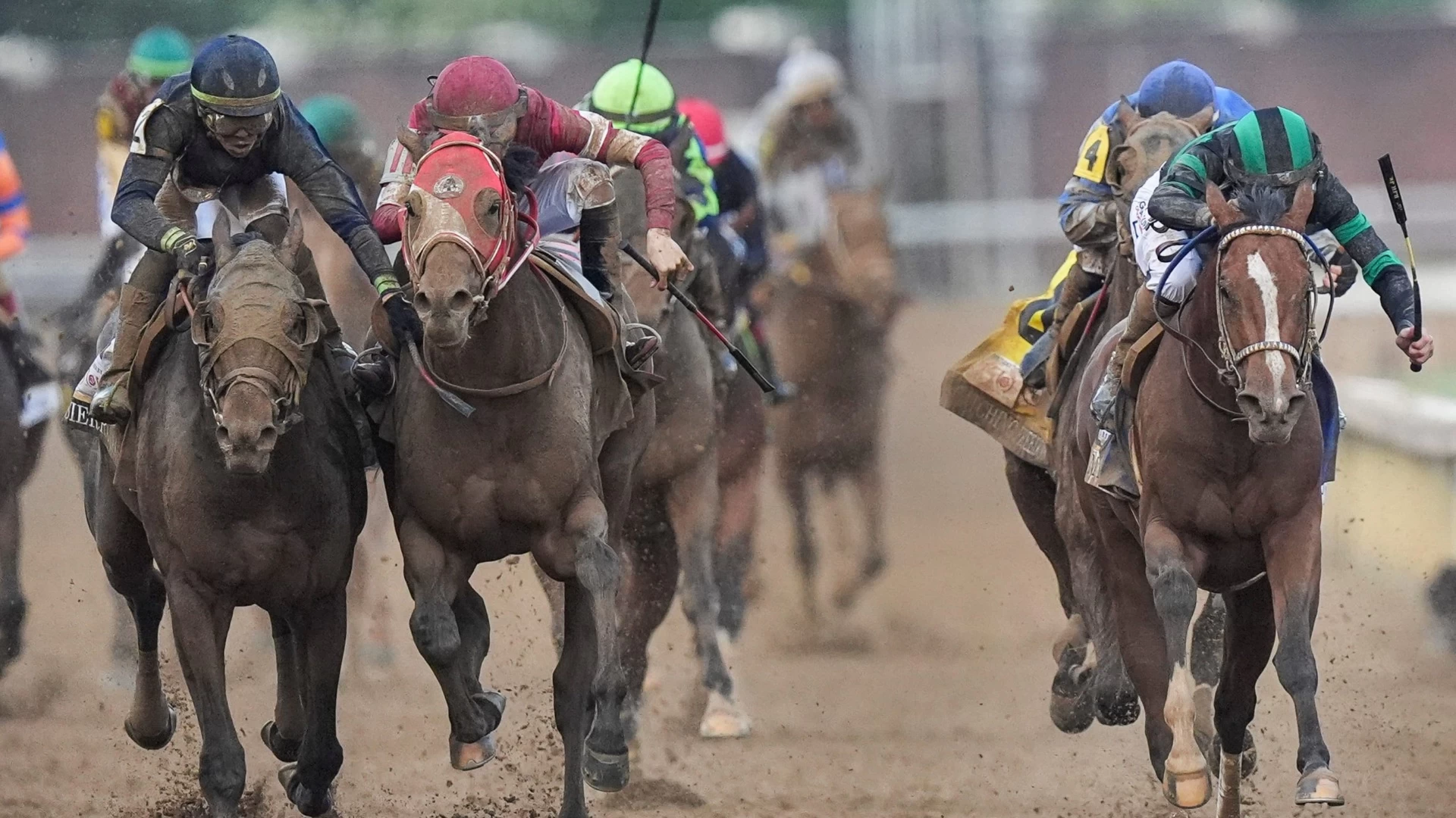 Expert Picks for Horse Racing: Gino Buccola's Best Bets