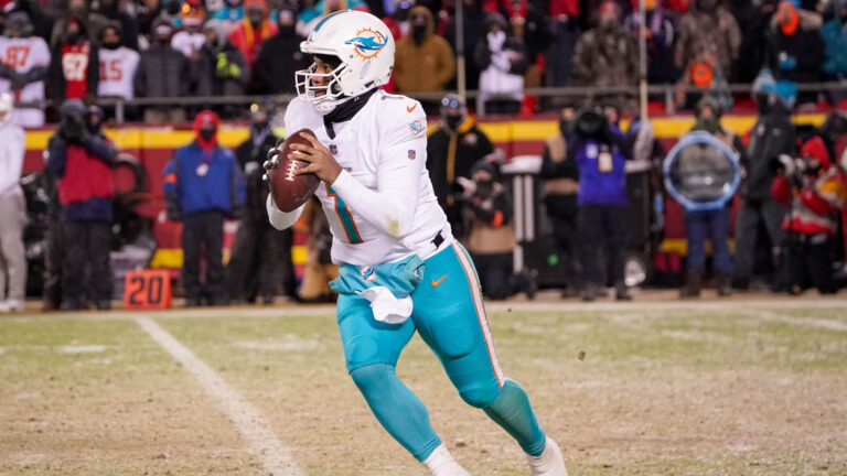 8. Miami Dolphins