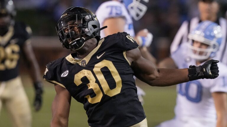 14. Jasheen Davis, Wake Forest