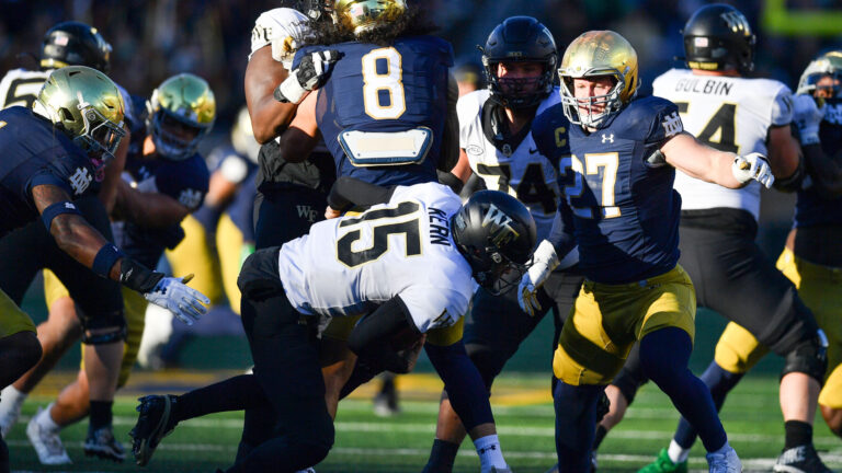 8. Notre Dame Fighting Irish