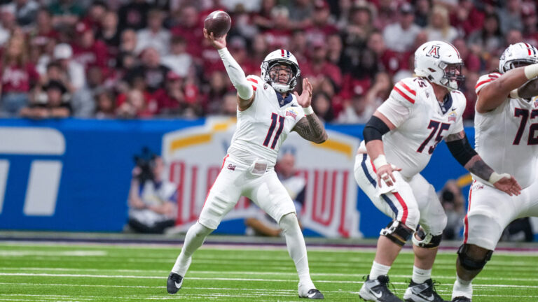 16. Arizona Wildcats