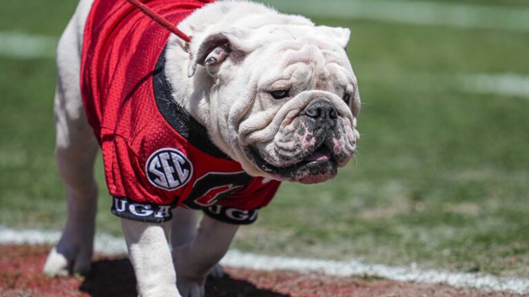 5. Georgia Bulldogs