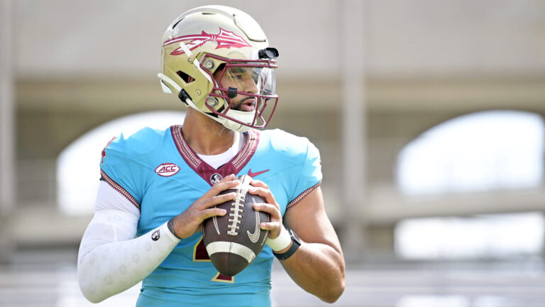 19. Florida State Seminoles