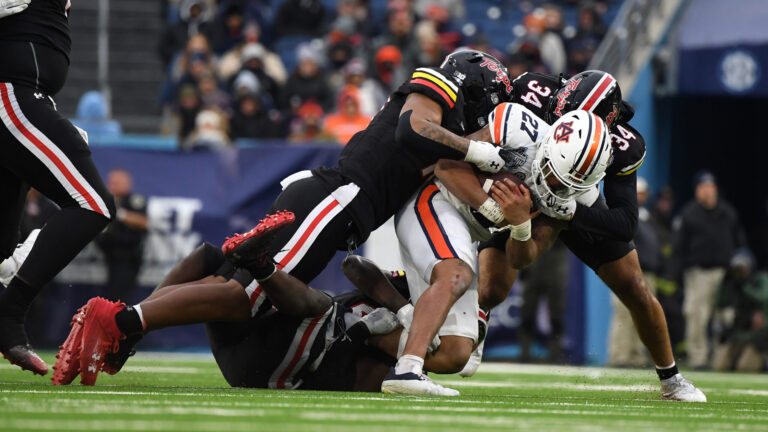 41. Maryland Terrapins