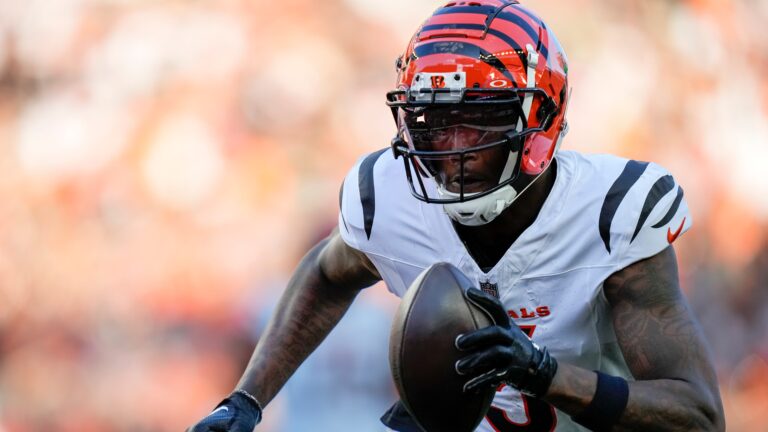 22. Tee Higgins, Cincinnati Bengals