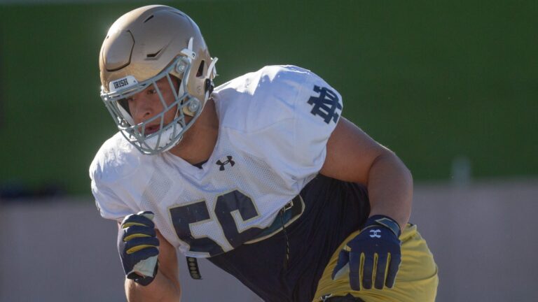 48. Howard Cross III, DT (Notre Dame)