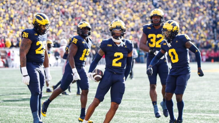 10. Michigan Stadium - Michigan