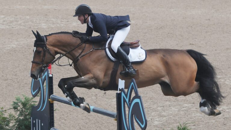 17) Equestrian - 1 Medal (tied)