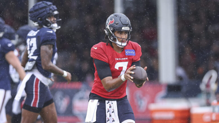 6. Houston Texans