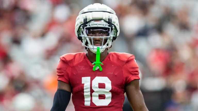 7. Arizona Cardinals