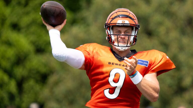 16. Cincinnati Bengals