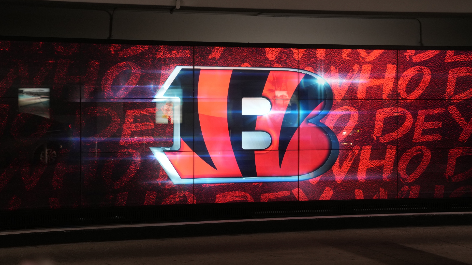 T2. Cincinnati Bengals (2013)