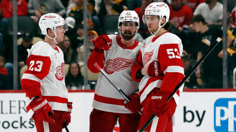 19. Detroit Red Wings