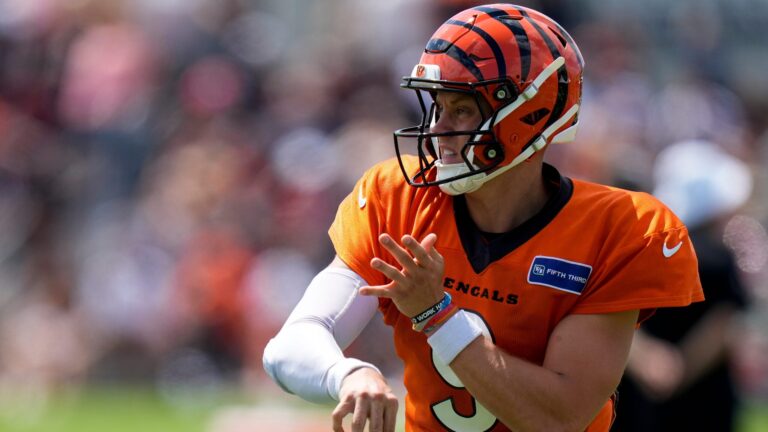 13. Cincinnati Bengals