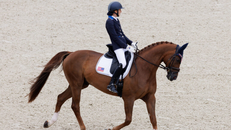 Fiona Howard: Gold Medal in Para Equestrian