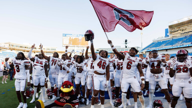 South Carolina Gamecocks 31 - Kentucky Wildcats 6