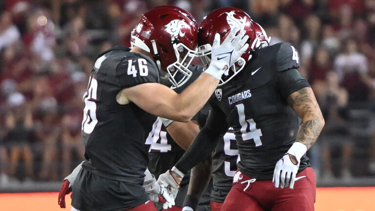 Texas Tech Red Raiders 16 - Washington State Cougars 37