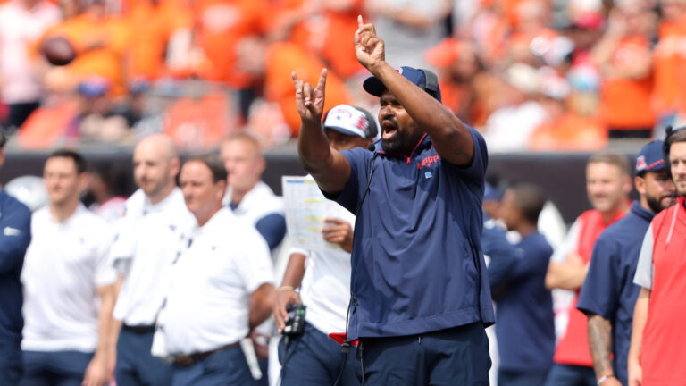30. Jerod Mayo - New England Patriots