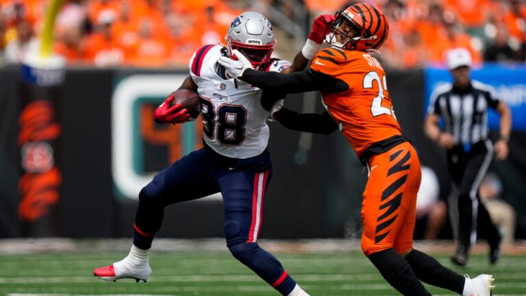 30. New England Patriots