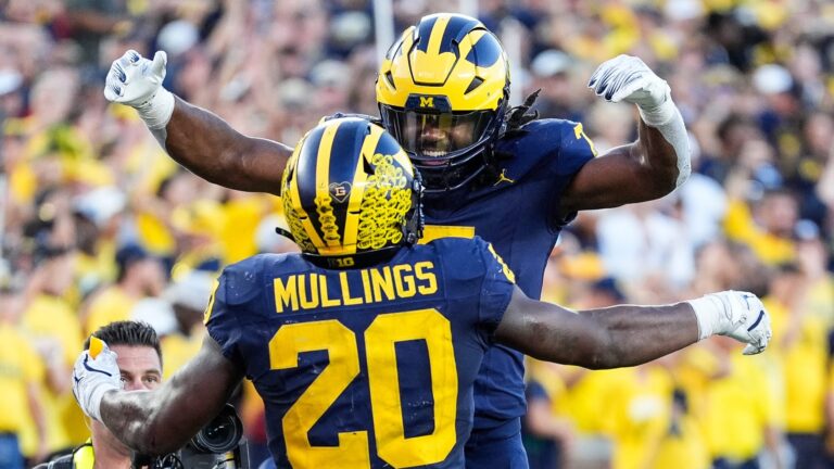 Michigan on the Rise