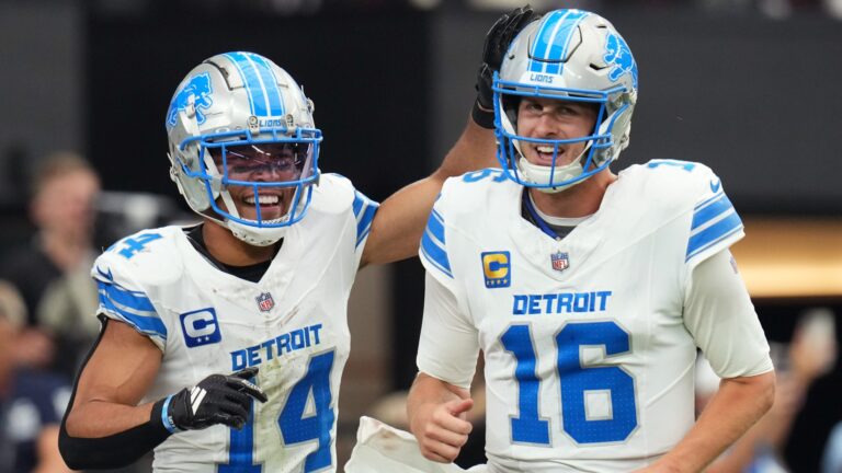 3. Detroit Lions