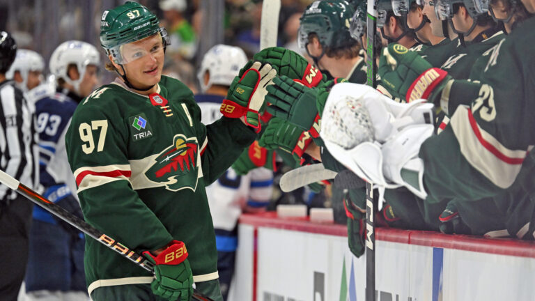 18. Minnesota Wild