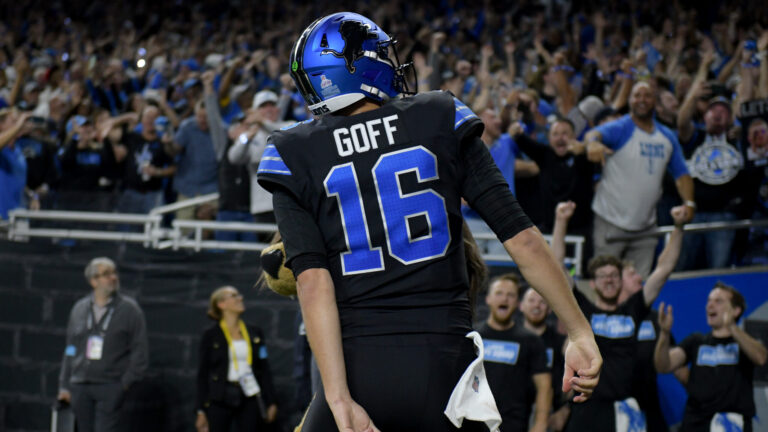 3. Detroit Lions