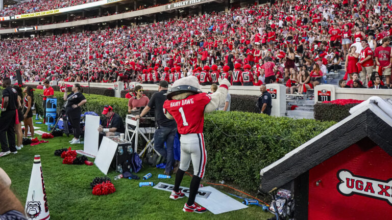 11. LSU Tigers at 6. Georgia Bulldogs