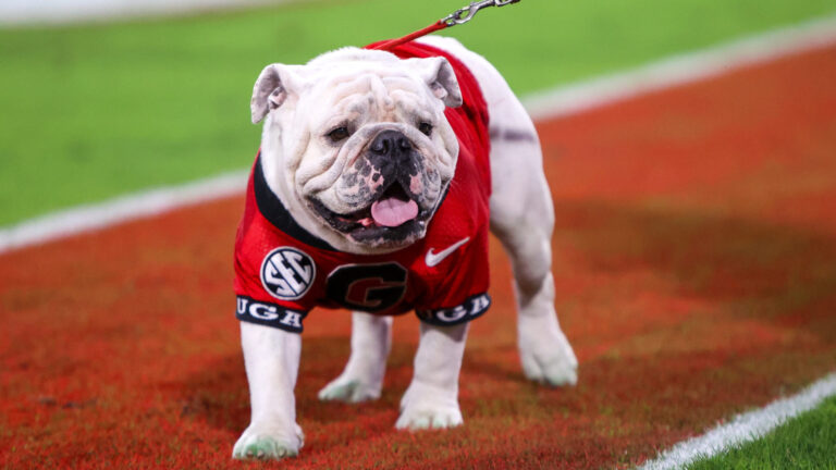 10. Clemson Tigers at 7. Georgia Bulldogs