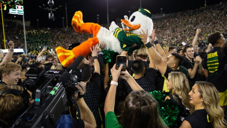 5. Validation For the Ducks