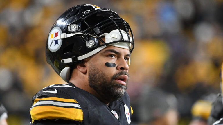 Cam Heyward Plays a Big Role in Win
