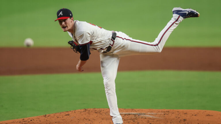 6. SP Max Fried