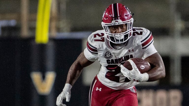 South Carolina Gamecocks