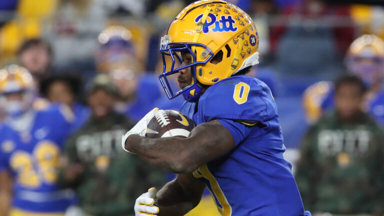 No. 17 Clemson Tigers (-10.5) vs. Pittsburgh Panthers