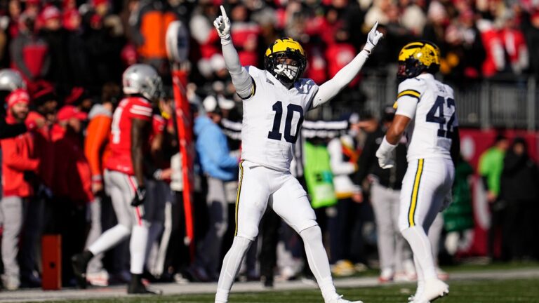 41. Michigan Wolverines