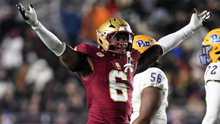 Bad Boy Mowers Pinstripe Bowl