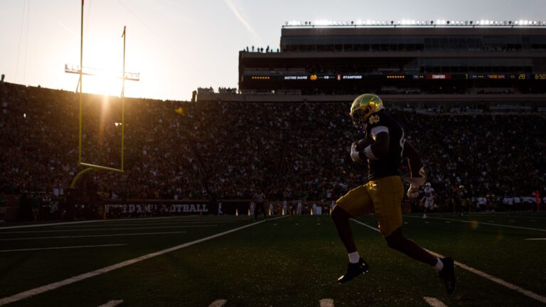 3. Notre Dame Fighting Irish