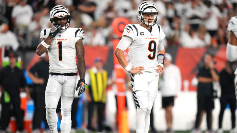 17) Cincinnati Bengals