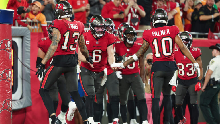 Tampa Bay Buccaneers (9-7) | 1st Place in NFC South
